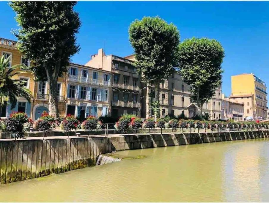 Soleil Sucre T2 Centre Historique De Narbonne Apartman Kültér fotó