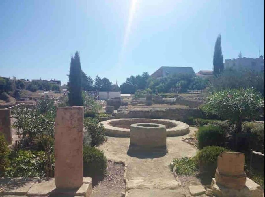 Soleil Sucre T2 Centre Historique De Narbonne Apartman Kültér fotó