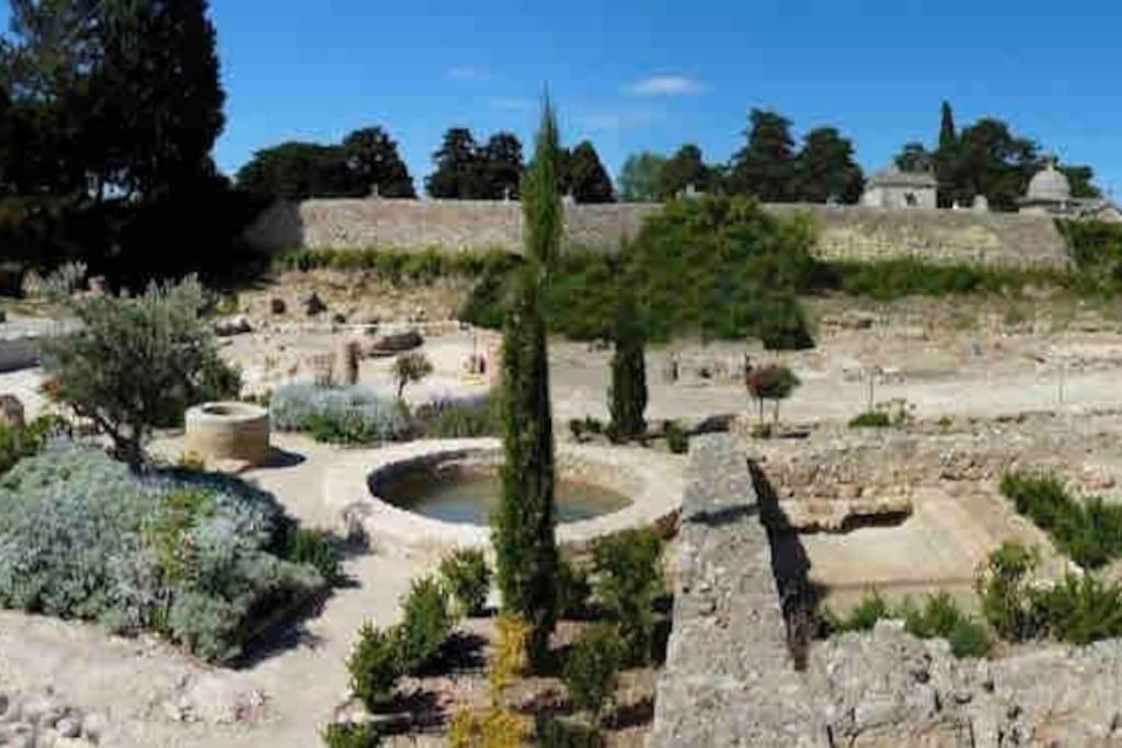 Soleil Sucre T2 Centre Historique De Narbonne Apartman Kültér fotó