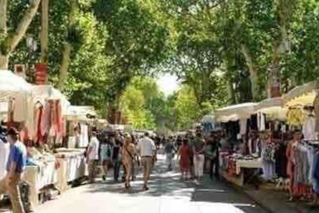 Soleil Sucre T2 Centre Historique De Narbonne Apartman Kültér fotó